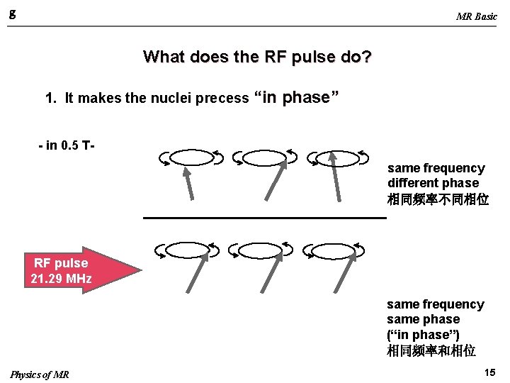 g MR Basic What does the RF pulse do? 1. It makes the nuclei