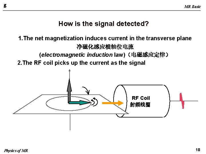 g MR Basic How is the signal detected? 1. The net magnetization induces current