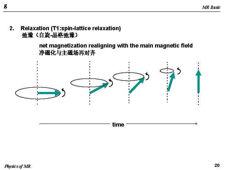 g MR Basic 2. Relaxation (T 1: spin-lattice relaxation) 弛豫（自旋-晶格弛豫） net magnetization realigning with