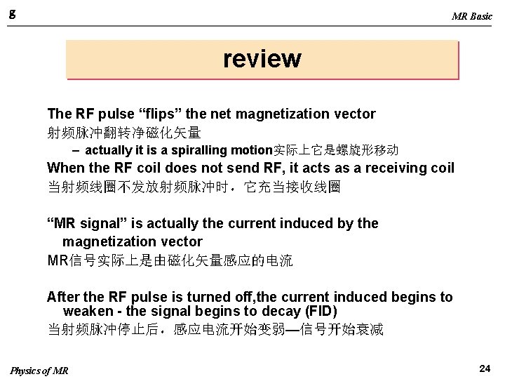 g MR Basic review The RF pulse “flips” the net magnetization vector 射频脉冲翻转净磁化矢量 –