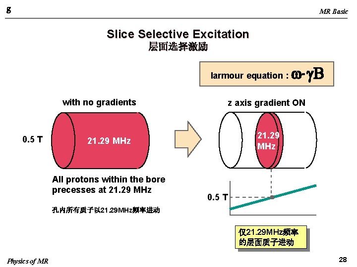 g MR Basic Slice Selective Excitation 层面选择激励 larmour equation : with no gradients 0.