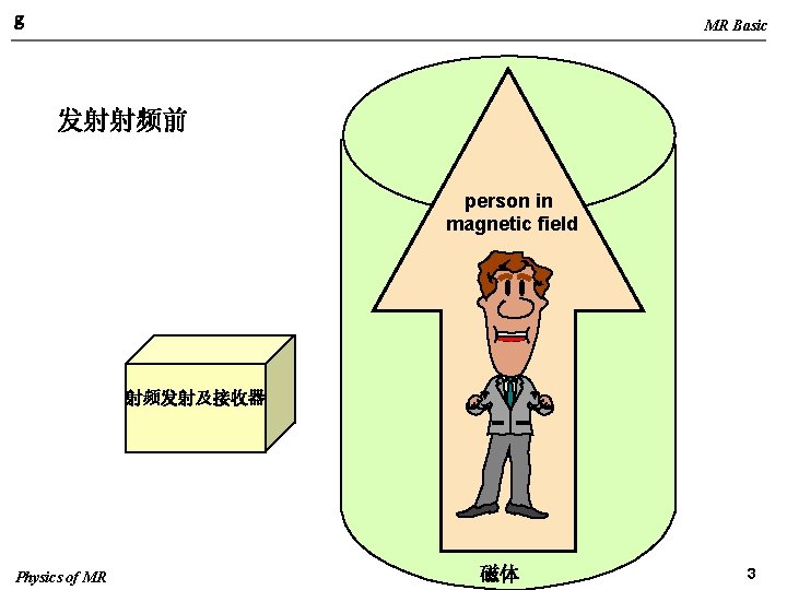g MR Basic 发射射频前 person in magnetic field 射频发射及接收器 Physics of MR 磁体 3