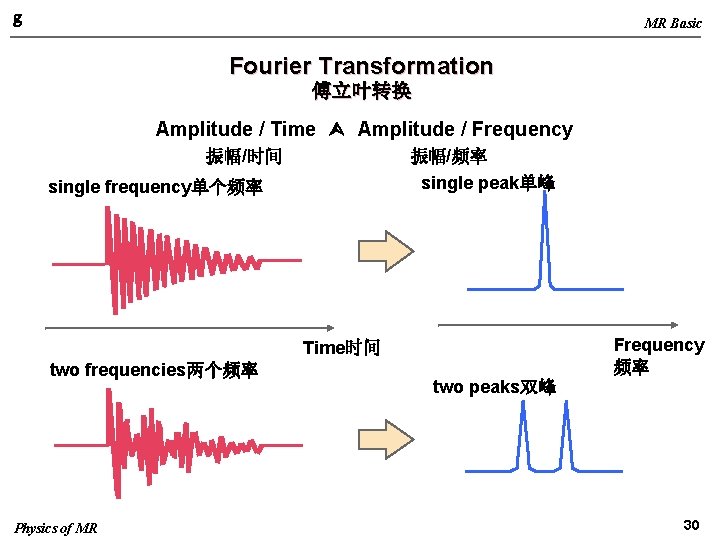 g MR Basic Fourier Transformation 傅立叶转换 Amplitude / Time Ù Amplitude / Frequency 振幅/时间