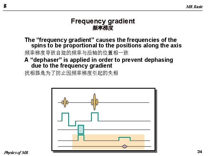 g MR Basic Frequency gradient 频率梯度 The “frequency gradient” causes the frequencies of the