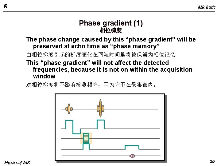 g MR Basic Phase gradient (1) 相位梯度 The phase change caused by this “phase