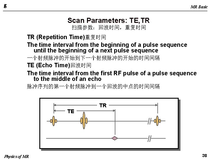 g MR Basic Scan Parameters: TE, TR 扫描参数：回波时间，重复时间 TR (Repetition Time)重复时间 The time interval