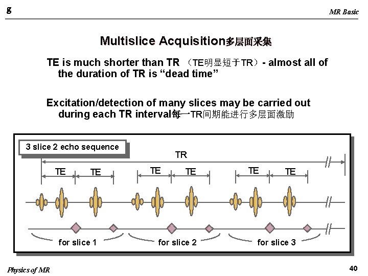 g MR Basic Multislice Acquisition多层面采集 TE is much shorter than TR （TE明显短于TR）- almost all