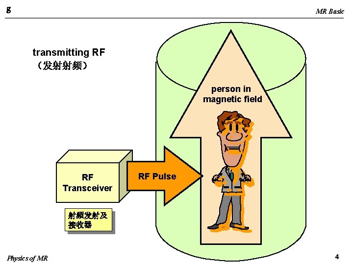 g MR Basic transmitting RF （发射射频） person in magnetic field RF Transceiver RF Pulse