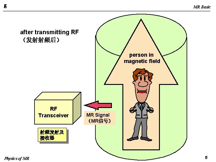 g MR Basic after transmitting RF （发射射频后） person in magnetic field RF Transceiver MR