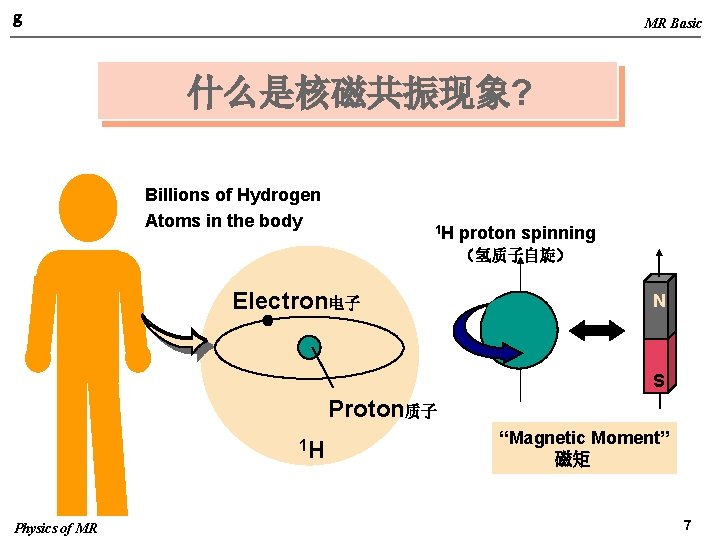 g MR Basic 什么是核磁共振现象? Billions of Hydrogen Atoms in the body 1 H proton