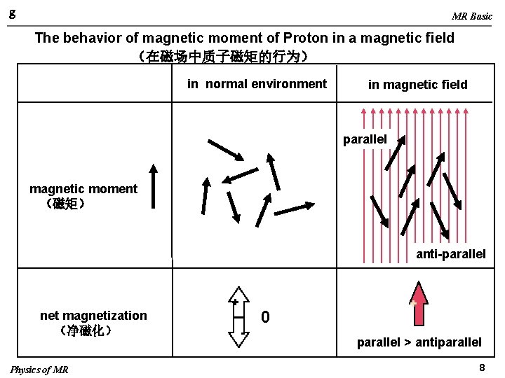 g MR Basic The behavior of magnetic moment of Proton in a magnetic field