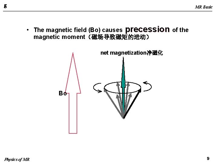 g MR Basic • The magnetic field (Bo) causes precession of the magnetic moment（磁场导致磁矩的进动）