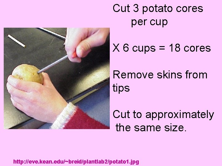 Cut 3 potato cores per cup X 6 cups = 18 cores Remove skins