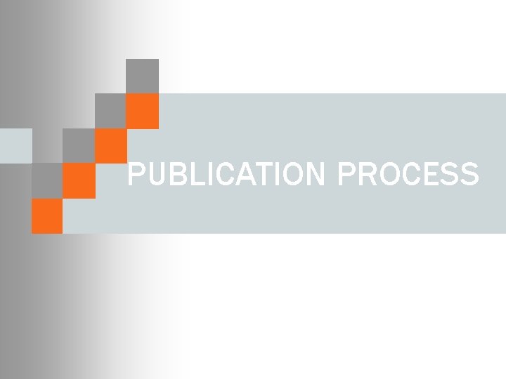 PUBLICATION PROCESS 