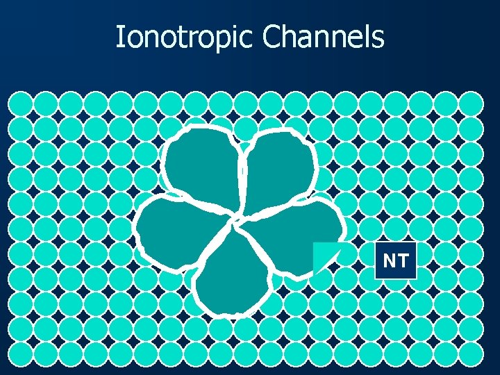 Ionotropic Channels NT 