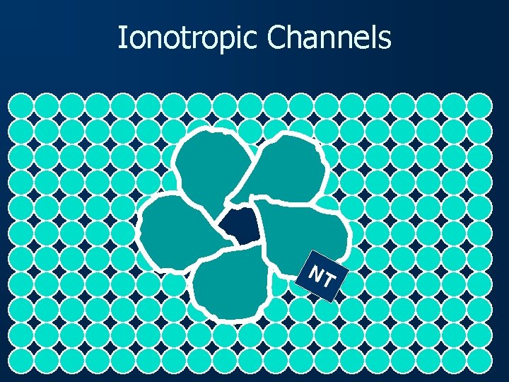 Ionotropic Channels NT 