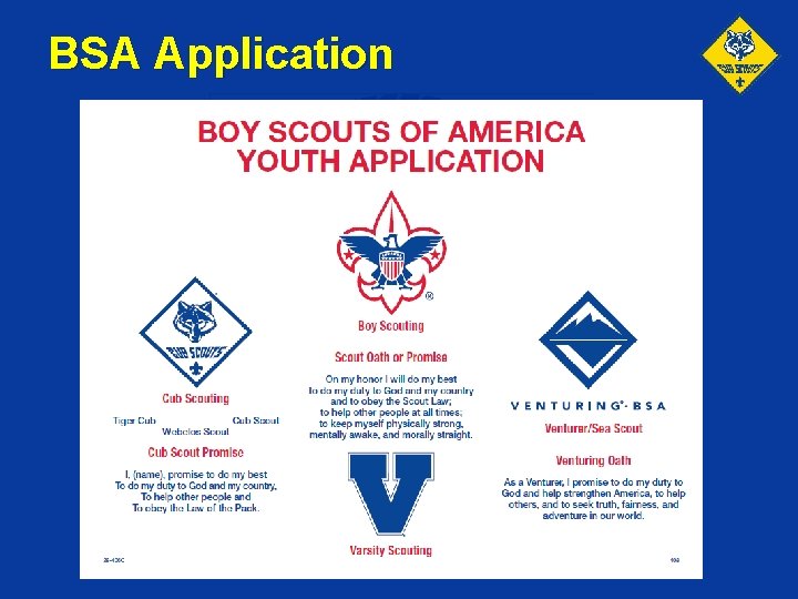 BSA Application 