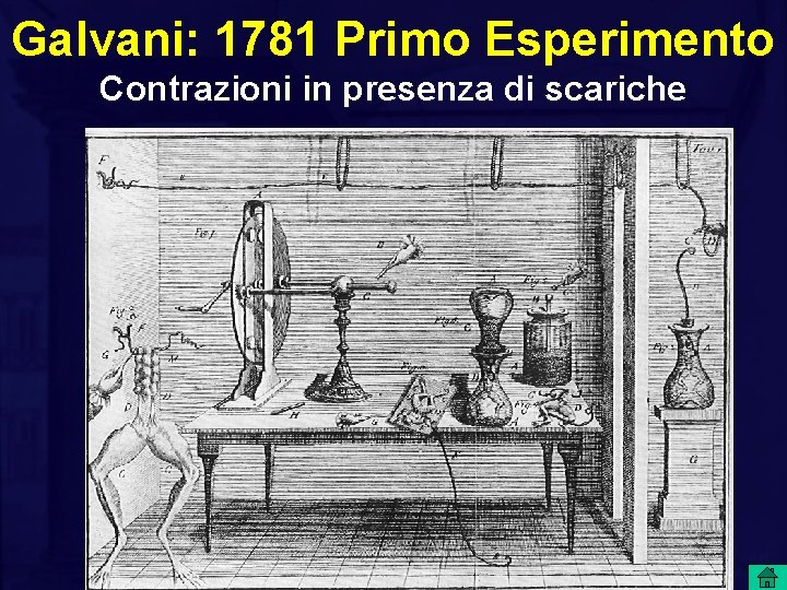 Galvani: 1781 Primo Esperimento Contrazioni in presenza di scariche 