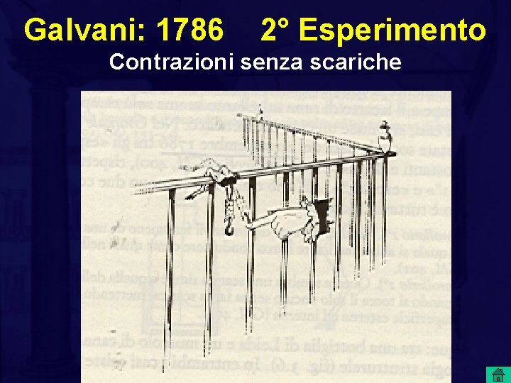 Galvani: 1786 2° Esperimento Contrazioni senza scariche 