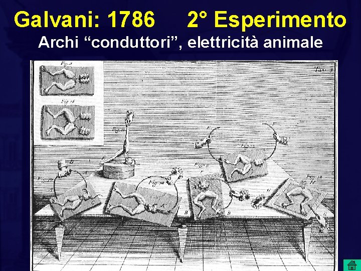 Galvani: 1786 2° Esperimento Archi “conduttori”, elettricità animale 