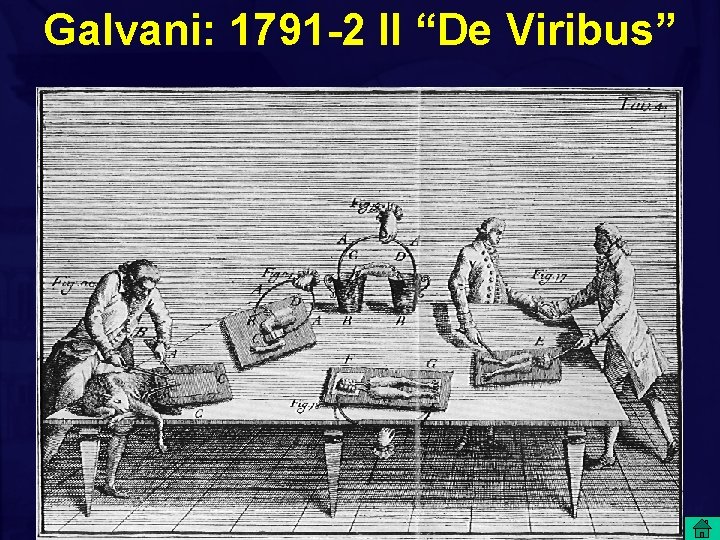 Galvani: 1791 -2 Il “De Viribus” 