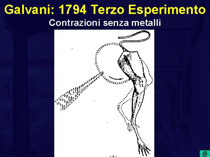 Galvani: 1794 Terzo Esperimento Contrazioni senza metalli 