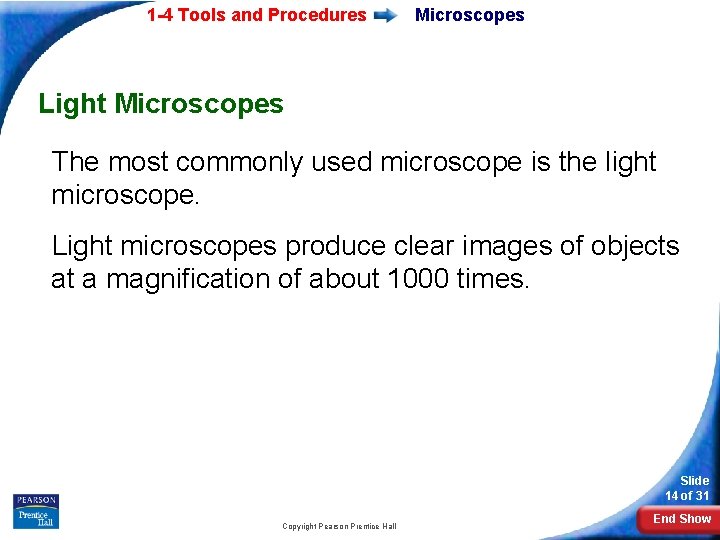 1 -4 Tools and Procedures Microscopes Light Microscopes The most commonly used microscope is
