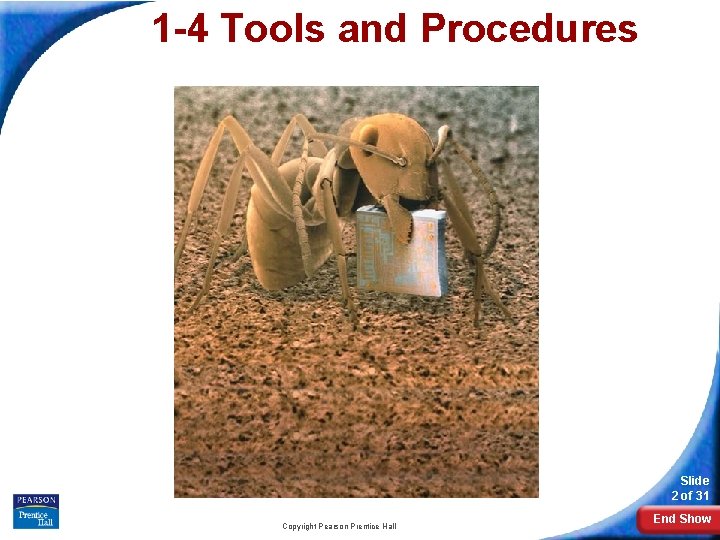 1 -4 Tools and Procedures Slide 2 of 31 Copyright Pearson Prentice Hall End