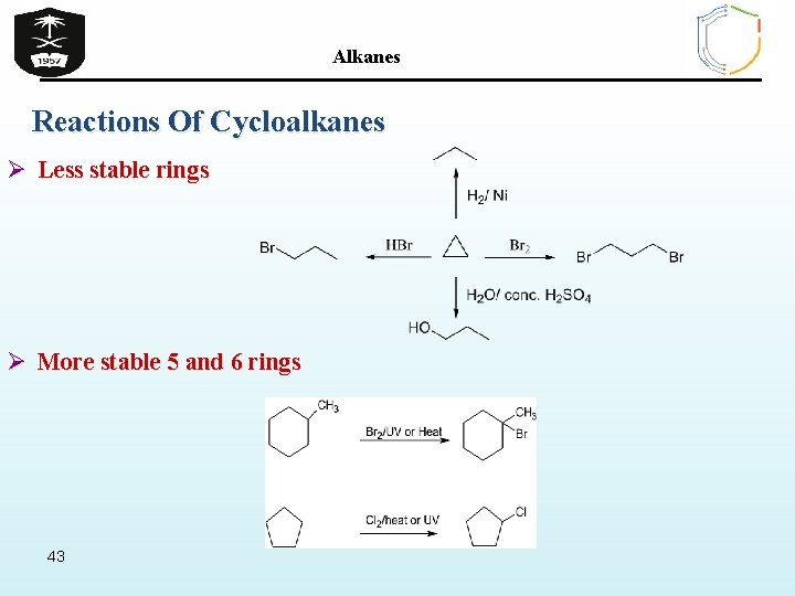 Alkanes Reactions Of Cycloalkanes Ø Less stable rings Ø More stable 5 and 6