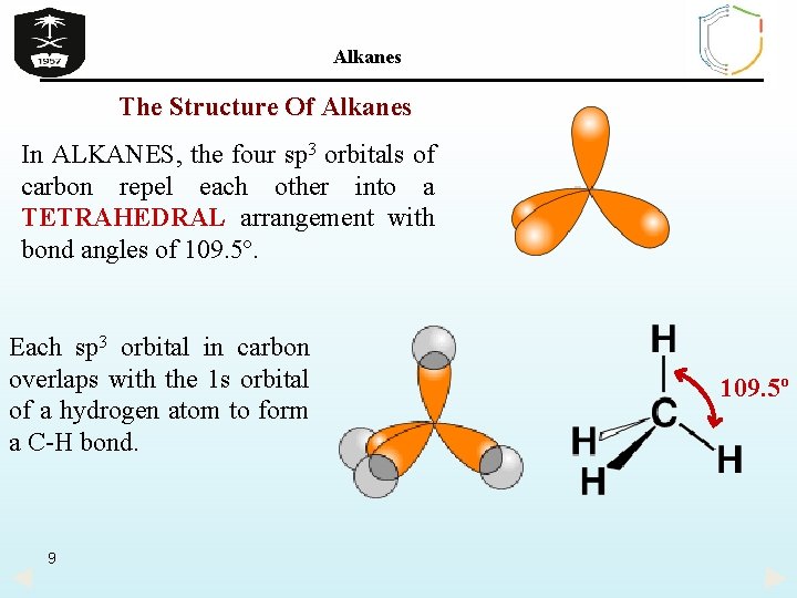 Alkanes The Structure Of Alkanes In ALKANES, the four sp 3 orbitals of carbon