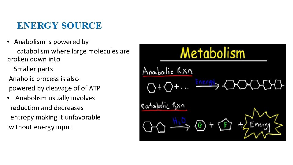 ENERGY SOURCE • Anabolism is powered by catabolism where large molecules are broken down