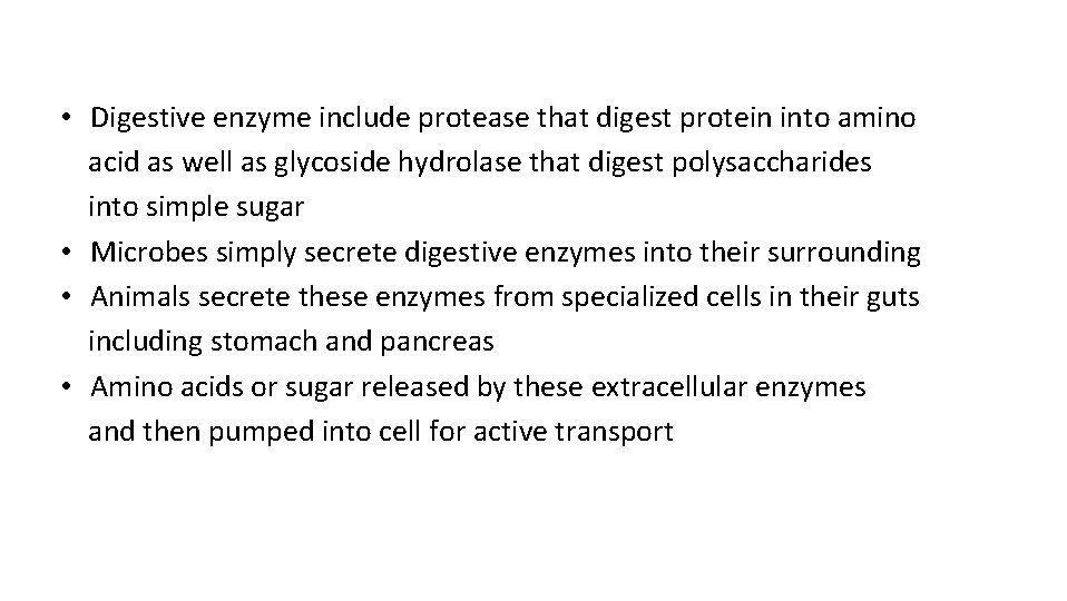  • Digestive enzyme include protease that digest protein into amino acid as well