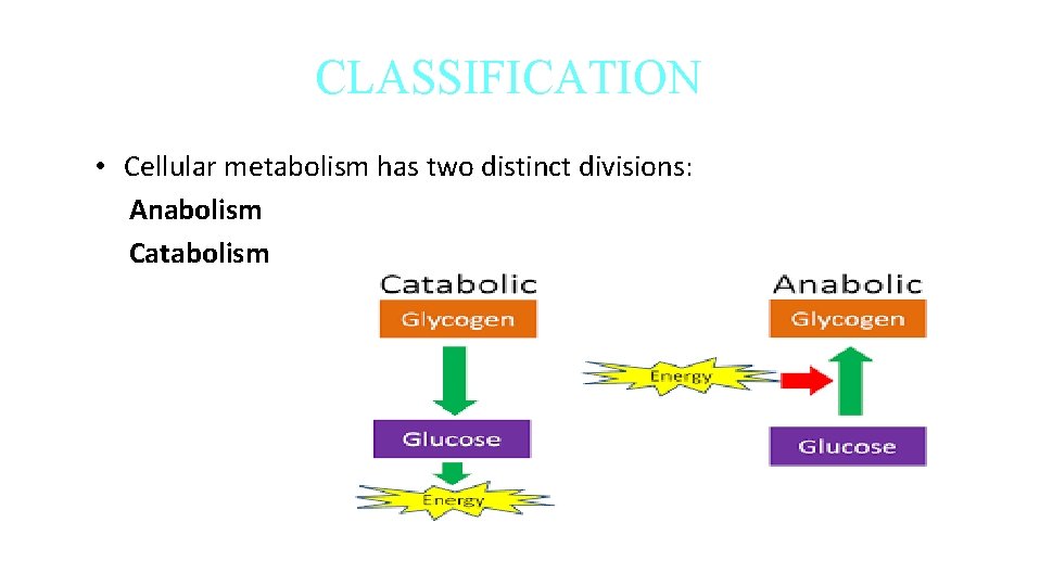 CLASSIFICATION • Cellular metabolism has two distinct divisions: Anabolism Catabolism 