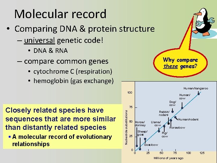 Molecular record • Comparing DNA & protein structure – universal genetic code! • DNA