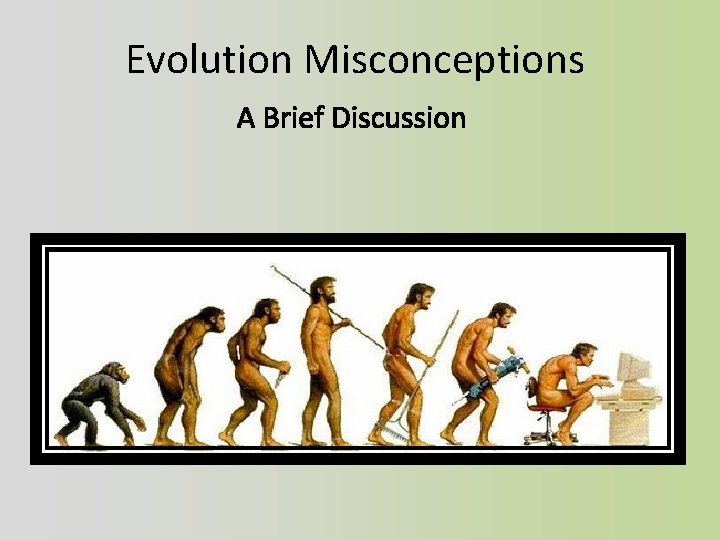 Evolution Misconceptions A Brief Discussion 