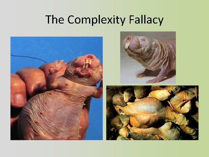 The Complexity Fallacy 