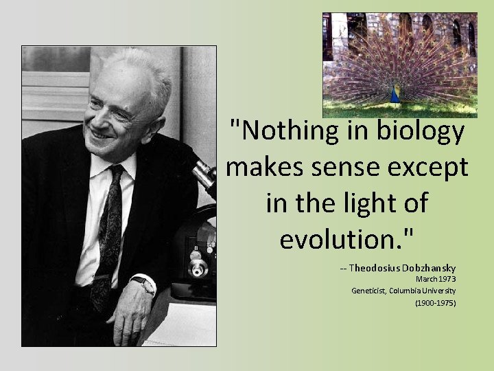 "Nothing in biology makes sense except in the light of evolution. " -- Theodosius