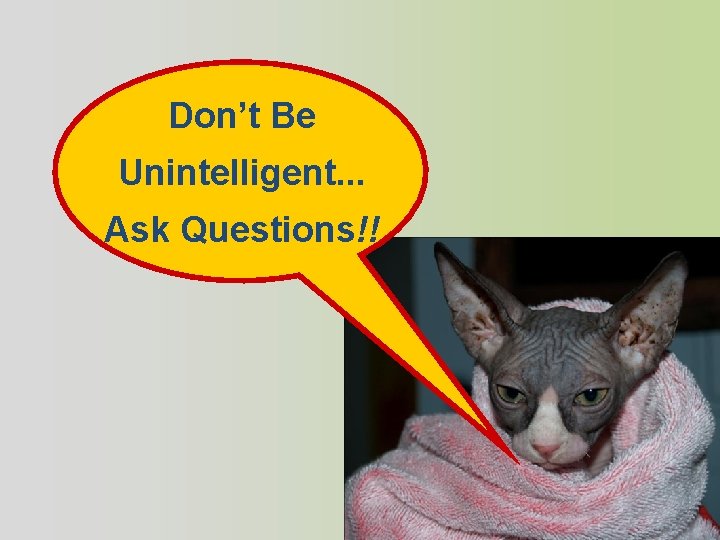 Don’t Be Unintelligent. . . Ask Questions!! 