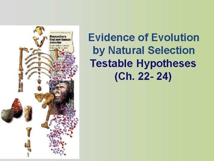 Evidence of Evolution by Natural Selection Testable Hypotheses (Ch. 22 - 24) 