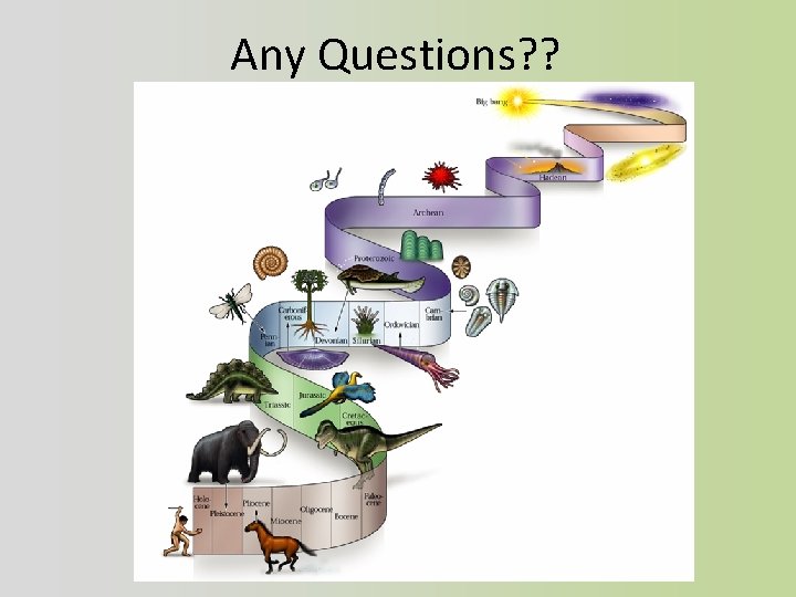 Any Questions? ? 2007 -2008 