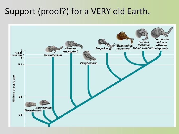 Support (proof? ) for a VERY old Earth. 