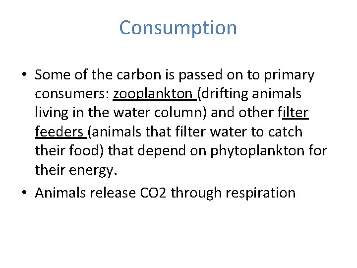 Consumption • Some of the carbon is passed on to primary consumers: zooplankton (drifting Consumption • Some of the carbon is passed on to primary consumers: zooplankton (drifting