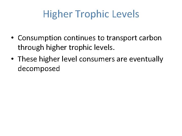 Higher Trophic Levels • Consumption continues to transport carbon through higher trophic levels. • Higher Trophic Levels • Consumption continues to transport carbon through higher trophic levels. •