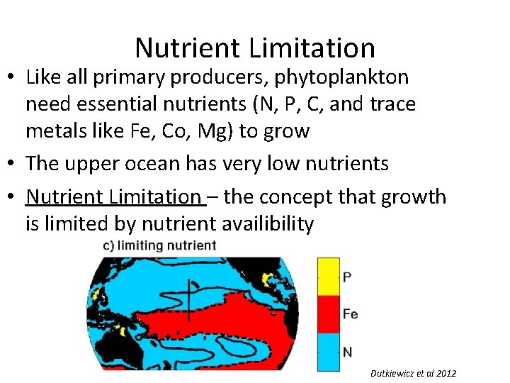 Nutrient Limitation • Like all primary producers, phytoplankton need essential nutrients (N, P, C, Nutrient Limitation • Like all primary producers, phytoplankton need essential nutrients (N, P, C,