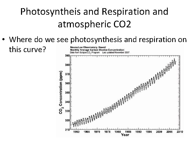 Photosyntheis and Respiration and atmospheric CO 2 • Where do we see photosynthesis and Photosyntheis and Respiration and atmospheric CO 2 • Where do we see photosynthesis and