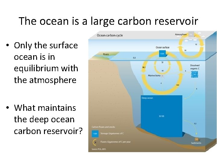 The ocean is a large carbon reservoir • Only the surface ocean is in The ocean is a large carbon reservoir • Only the surface ocean is in
