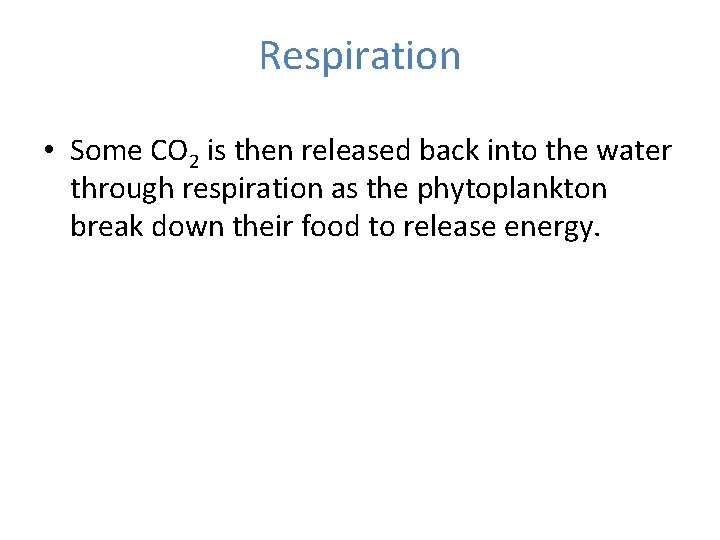 Respiration • Some CO 2 is then released back into the water through respiration Respiration • Some CO 2 is then released back into the water through respiration