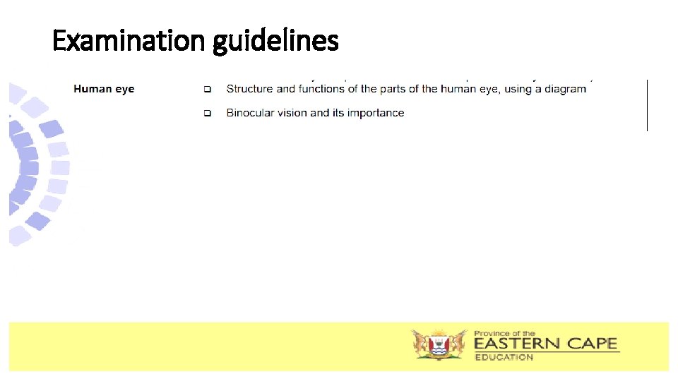 Examination guidelines 