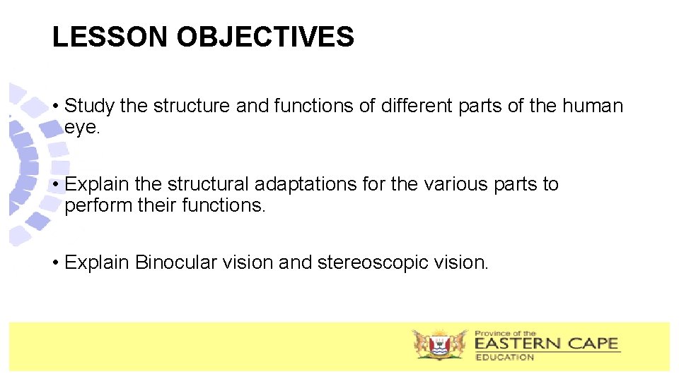 LESSON OBJECTIVES • Study the structure and functions of different parts of the human