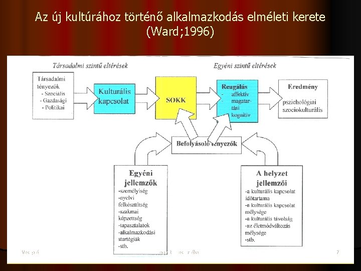 Az új kultúrához történő alkalmazkodás elméleti kerete (Ward; 1996) Veszprém egyetemes értékek 7 